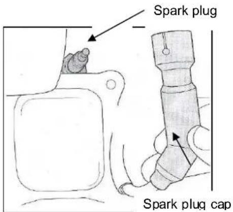 Spark plug Spark plug cap