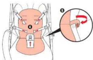 Anatomical diagram showing pelvic region with labeled parts and a magnified inset illustrating hand movement with rotation arrow.