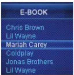 E-BOOK Chris Brown Lil Wayne Mariah Carey Coldplay Jonas Brothers Lil Wayne