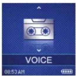 VOICE 08:53 AM