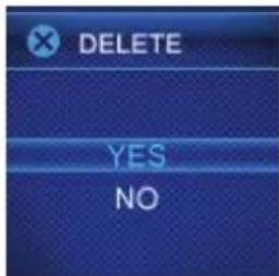 DELETE YES NO