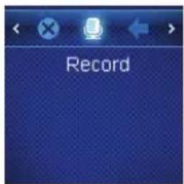Record