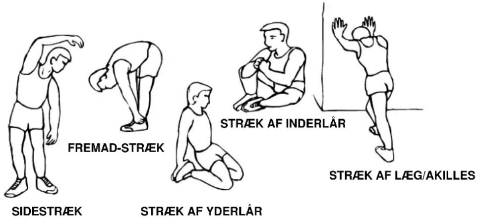 FREMAD-STRÆK STRÆK AF INDERLÅR STRÆK AF LÆG/AKILLES SIDESTRÆK STRÆK AF YDERLÅR