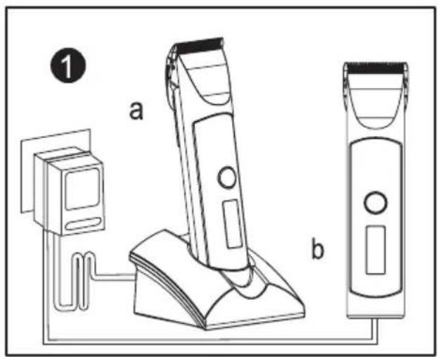 1 a b