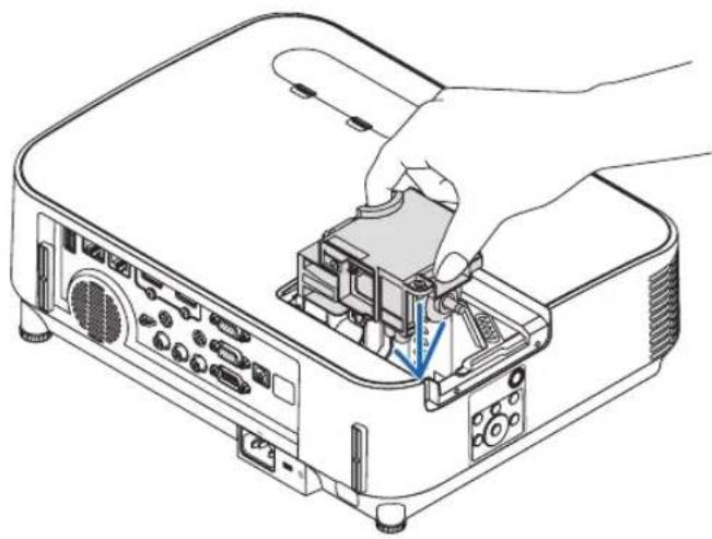 NEC P603X - Install a new lamp housing. - 1