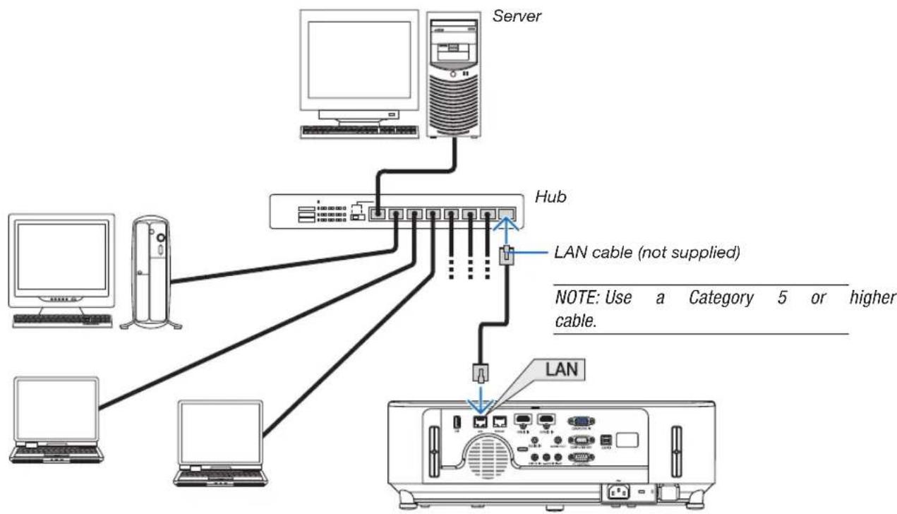 NEC P603X - Example of LAN connection - 1