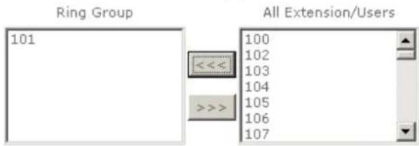 Ring Group 101 << >>> All Extension/Users 100 102 103 104 105 106 107
