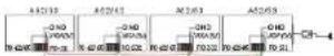 Moxa A52-DB9F - Power supply - 1