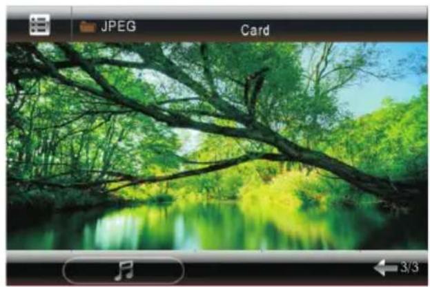 Scenic view of a lush green forest with a calm river and tree branches, captured in an image editing interface (no text or symbols on the scene itself)