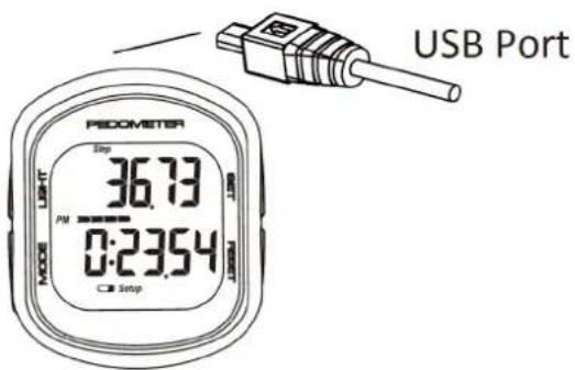 USB Port PEDOMETER 36.73 PM 2000 0:23.54 MODE LIGHT SBM C:\ Setup