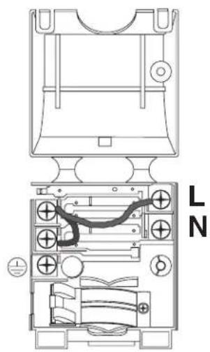 L N