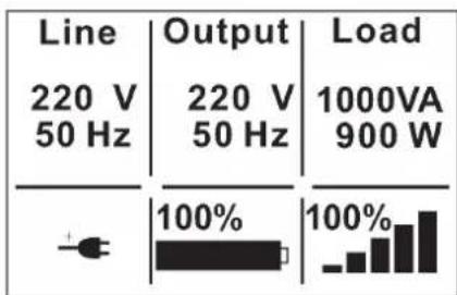 Line 220 V 50 Hz Output 220 V 50 Hz Load 1000VA 900 W 100% 100%