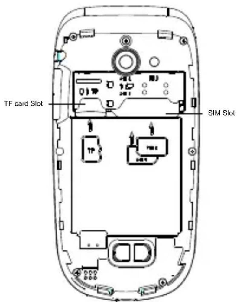 TF card Slot SIM Slot