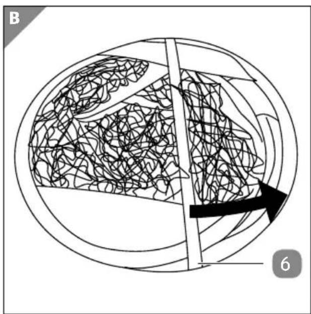 Diagram of a spherical object with internal chaotic patterns and an arrow pointing to a section, labeled 'B' and '6' (no text or symbols on the diagram itself)