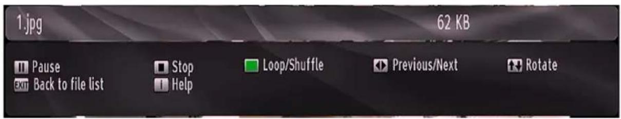 1.jpg 62 KB Pause Stop Loop/Shuffle Previous/Next Rotate Back to file list Help