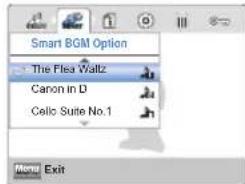SAMSUNG HMX-W300YP - Smart BGM Option - 2