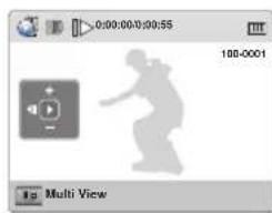 0:00:00:00:55 100-0001 Multi View
