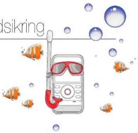 dsikring