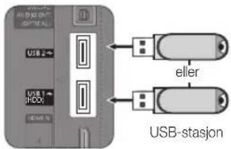 Alle DIO OUT HOTEL USB 2 USB 1 (HDO) eller USB-station