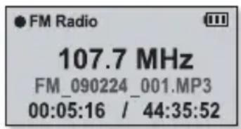 SAMSUNG YP-U5JAP - Sådan slettes en gemt station - 1