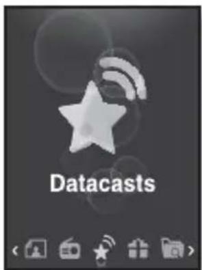 SAMSUNG YP-S3JQB - VISNING AF DATA CASTS - 3