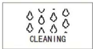CLEANING