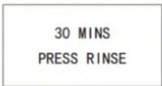 30 MINS PRESS RINSE