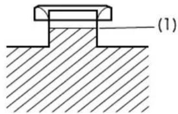 (1)