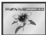 SAMSUNG DVD-P245 - Visning av bild-cd - 1