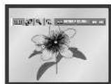 SAMSUNG DVD-P245 - Visning av bilde-CD - 1