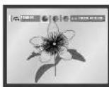 SAMSUNG DVD-P245 - Visning af CD-billede - 2