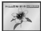 SAMSUNG DVD-P245 - Visning av bilde-CD - 2