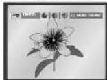 SAMSUNG DVD-P245 - Visning av bild-cd - 2