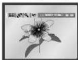 SAMSUNG DVD-P245 - Visning af CD-billede - 1