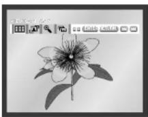 SAMSUNG DVD-E232A - DEN - 1