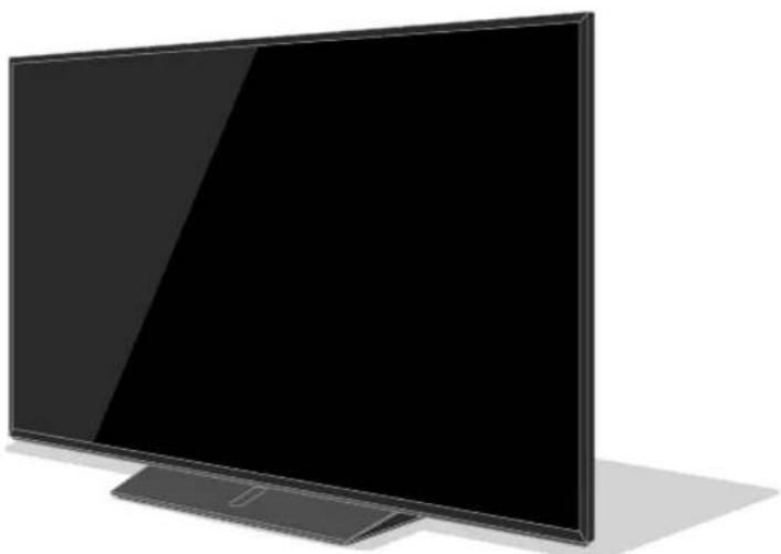 PANASONIC TH-43FX750 - 1