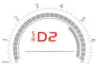 *D2