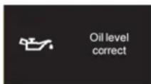 CITROEN DS5 2013.5 - Indikator for motoroliestand \* - 2