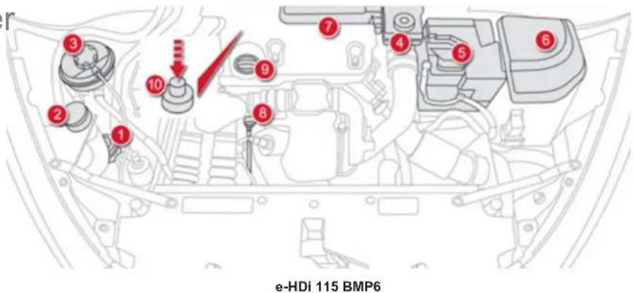 e-HDi 115 BMP6