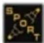 PEUGEOT 407 C (2006) - Manuelt valg af positionen SPORT - 1