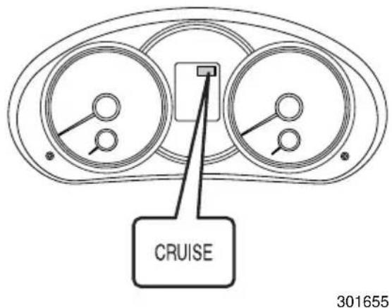 CRUISE 301655