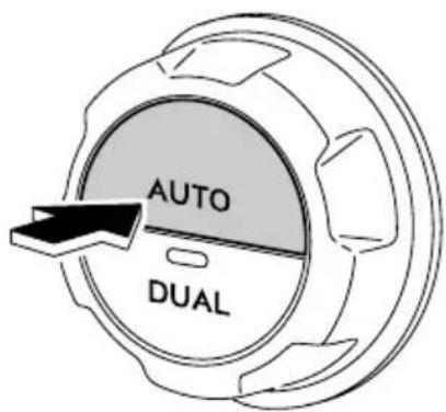 AUTO DUAL