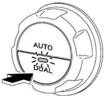 AUTO DUAL