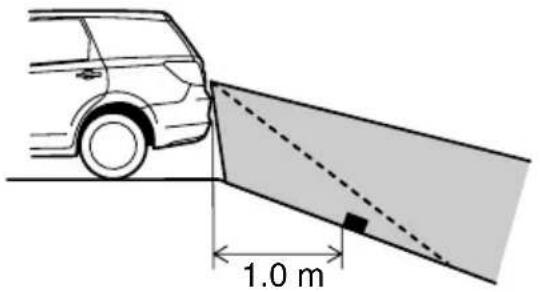 1.0 m