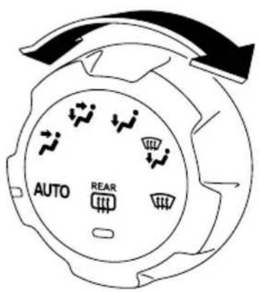 AUTO REAR
