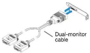 Dual-monitor cable