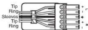 Extron DVS 510 SA - Rear Panel - 6