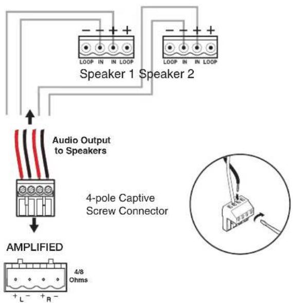 Speaker 1 Speaker 2 Audio Output to Speakers 4-pole Captive Screw Connector AMPLIFIED + L - + R - 4/8 Ohms