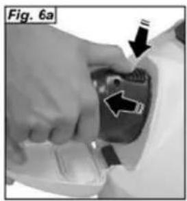 Fig. 6a