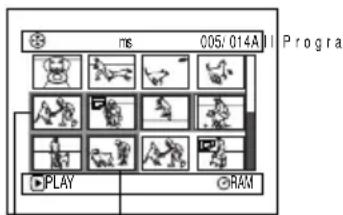 ms 005:014All Progra PLAY RAM